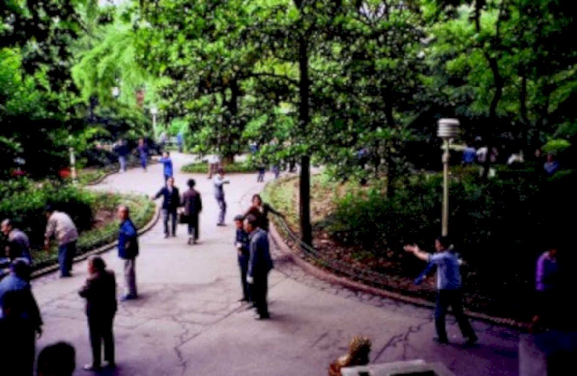 central park 20031980s 1990s A4 Photo Print