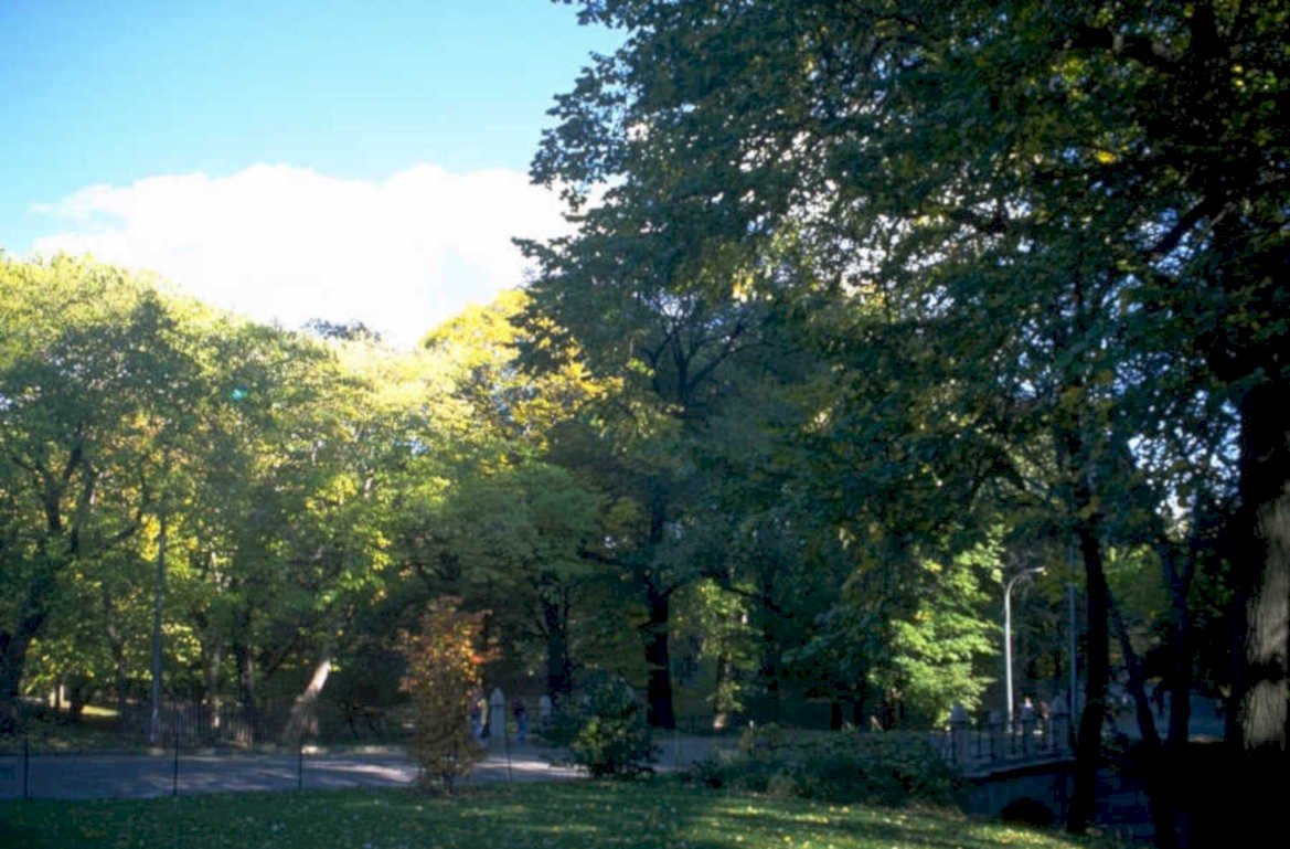 central park autumn 1980s 1990s A4 Photo Print
