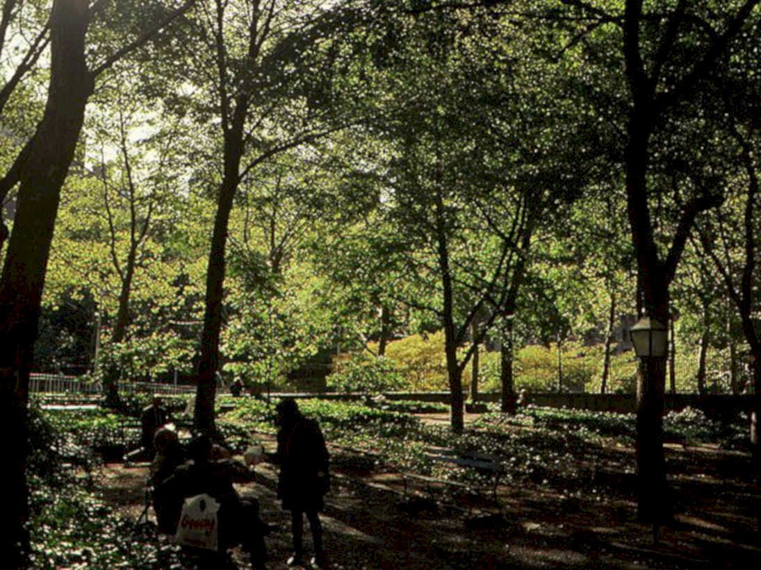 central park bench1980s 1990s A4 Photo Print