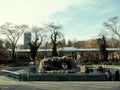 central park water1980s 1990s A4 Photo Print