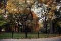 centralpark falltrees 20241980s 1990s A4 Photo Print