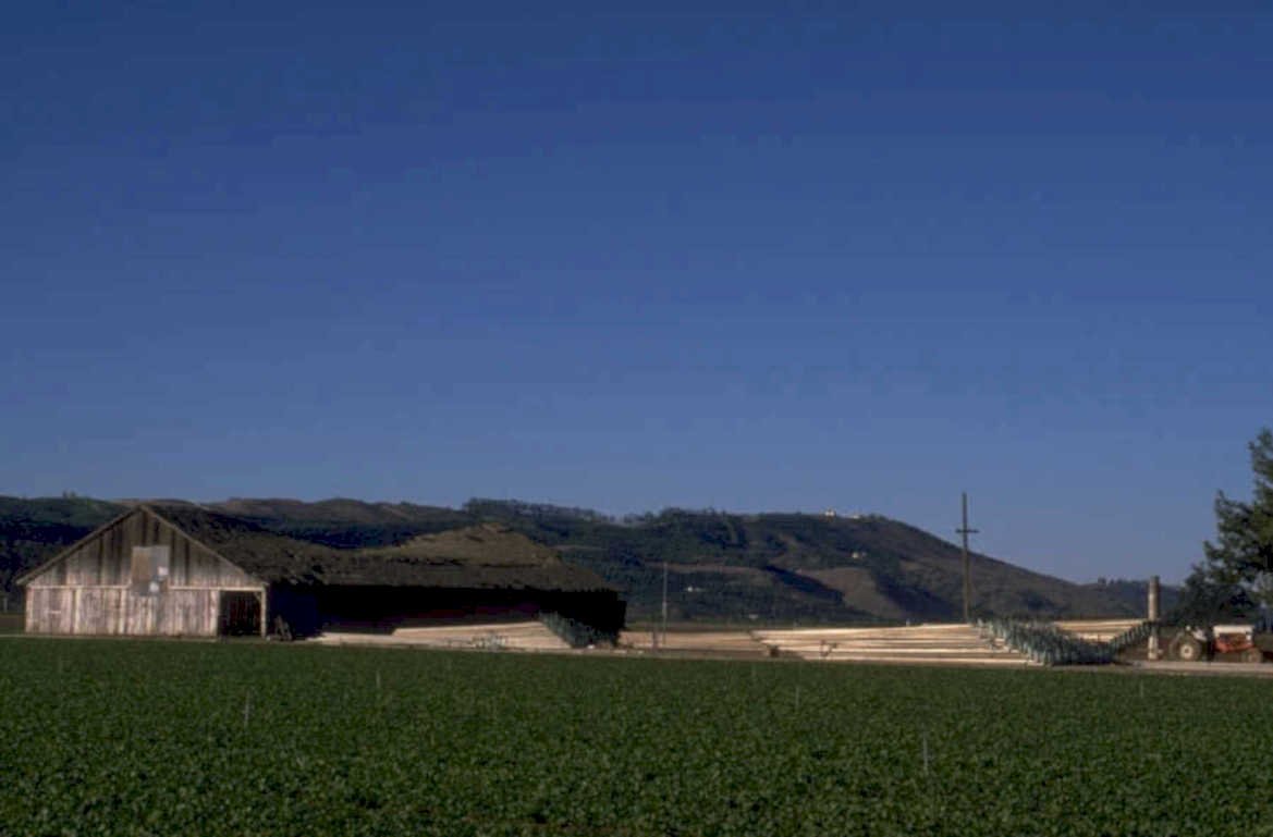 centralvalleyfarm barn irrigation 1980s 1990s A4 Photo Print