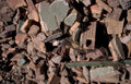 ceramic tiles lizard