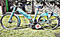 cerbiatto mosquito motorbike A4 Photo Print
