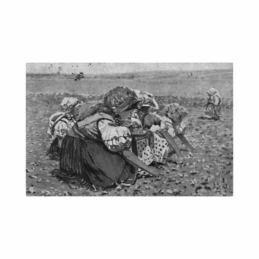 ceska republika painting joza uprka v repe in turnips j plichta Vintage A4 Photo Print