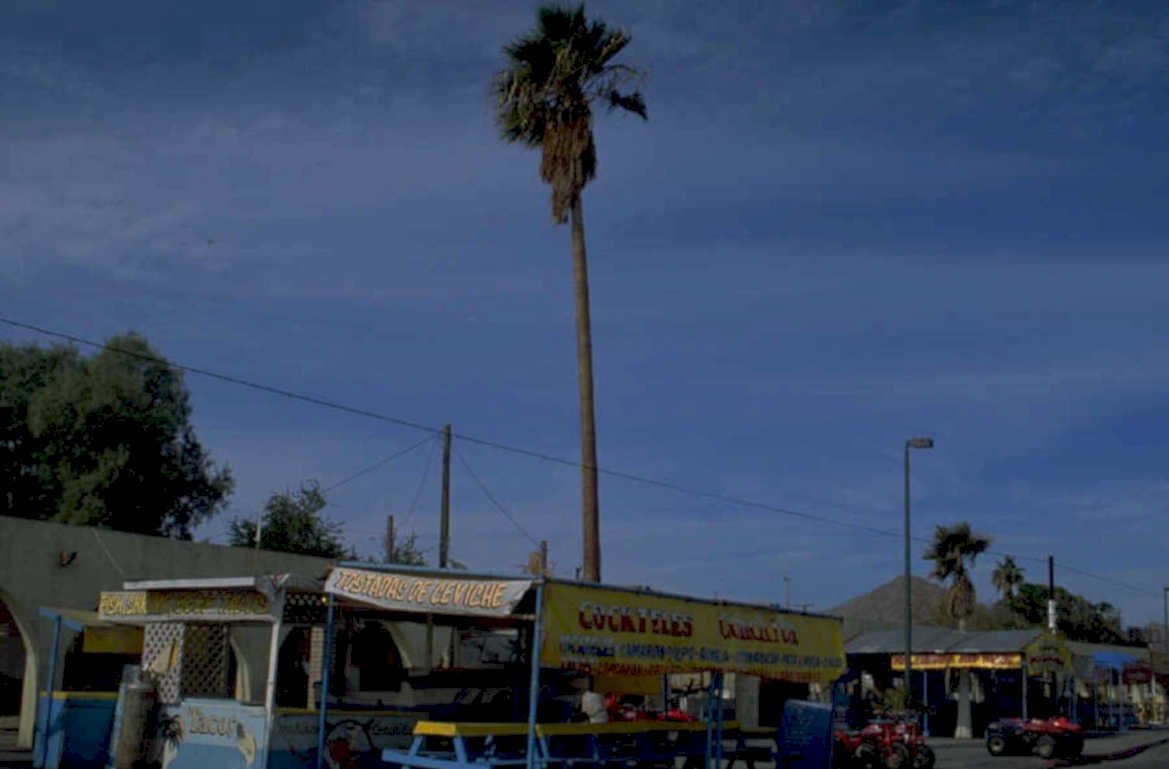 cevicheria stall arequipa 1980s 1990s A4 Photo Print