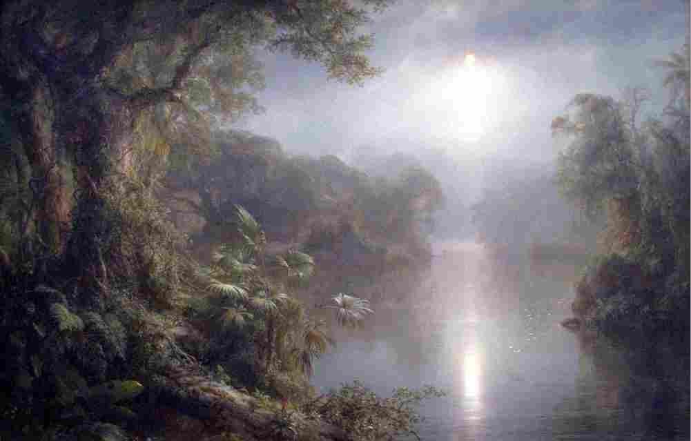 ch Morning in the Tropics Art A4 Photo Print