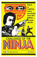 challenge of ninja  01 film star poster A4 Photo Print