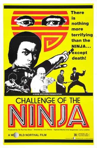 challenge of ninja  01 film star poster A4 Photo Print