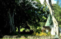 chapel garden hawaii Vintage A4 Photo Print