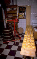 cheese vat wheels 1980s 1990s A4 Photo Print