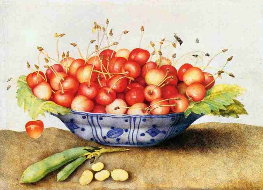cherries 3 Art A4 Photo Print UK