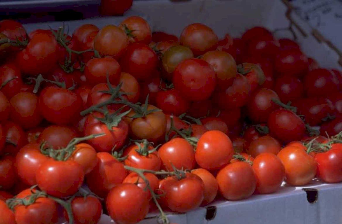 cherry tomatoes red 1980s 1990s A4 Photo Print