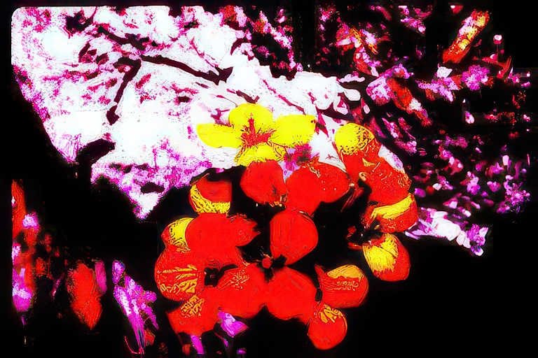 cherryblossoms spring abstract Vintage A4 Photo Print