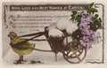 chick bird transportation easter suffocating transport old rpc 177272 A4 Photo Print