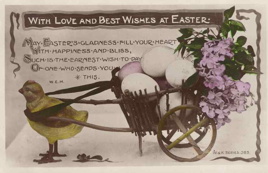 chick bird transportation easter suffocating transport old rpc 177272 A4 Photo Print