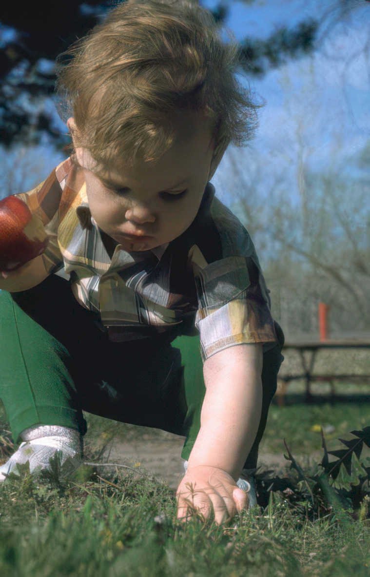 child apple play Vintage A4 Photo Print