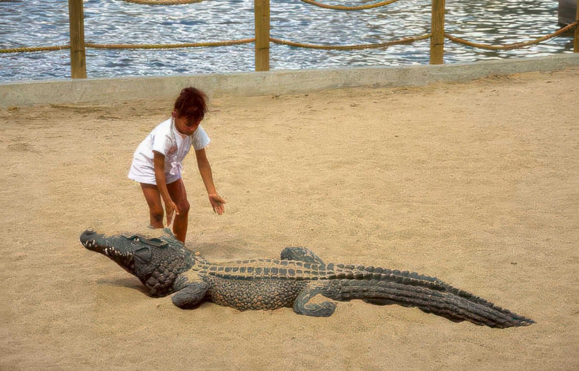 child crocodile statue Vintage A4 Photo Print