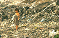 child landfill philippines Vintage A4 Photo Print