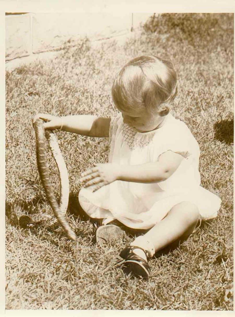 child snake toy Vintage world war A4 Photo Print