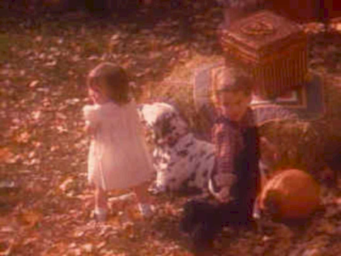 children pumpkin fall1980s 1990s A4 Photo Print