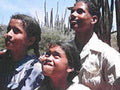 children saguaro desert1980s 1990s A4 Photo Print