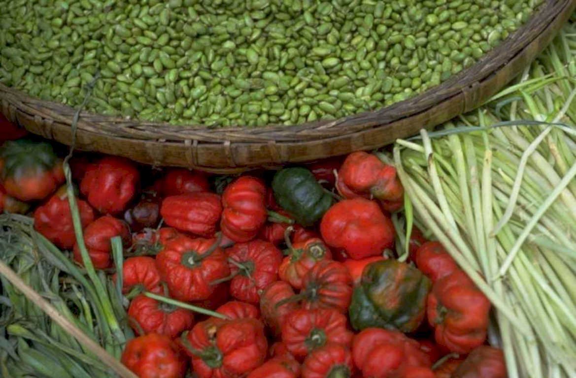 chili cardamom herbs 1980s 1990s A4 Photo Print