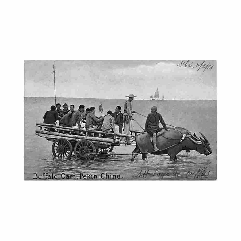 china beijing buffalo cart sincere co Vintage A4 Photo Print