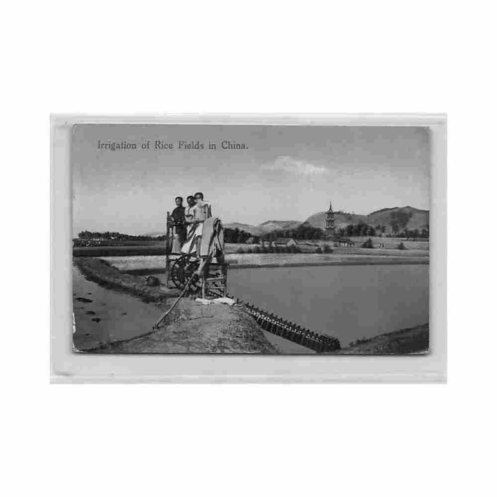 china irrigation of rice fields kingshill Vintage A4 Photo Print