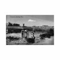 china planting rice kingshill Vintage A4 Photo Print