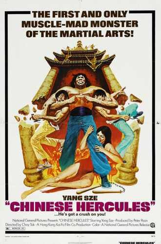 chinese hercules  01 film star poster A4 Photo Print