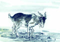 chinese master paintings animals c art a0116 A4 Photo Print