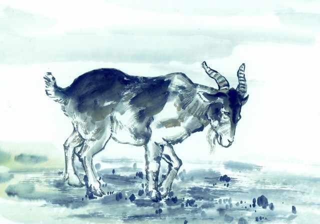 chinese master paintings animals c art a0116 A4 Photo Print