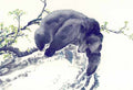 chinese master paintings animals c art a0127 A4 Photo Print