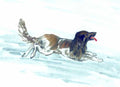 chinese master paintings animals c art a0134 A4 Photo Print