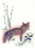 chinese master paintings animals c art a0146 A4 Photo Print