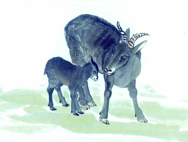 chinese master paintings animals c art a0164 A4 Photo Print
