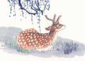 chinese master paintings animals c art a0166 A4 Photo Print