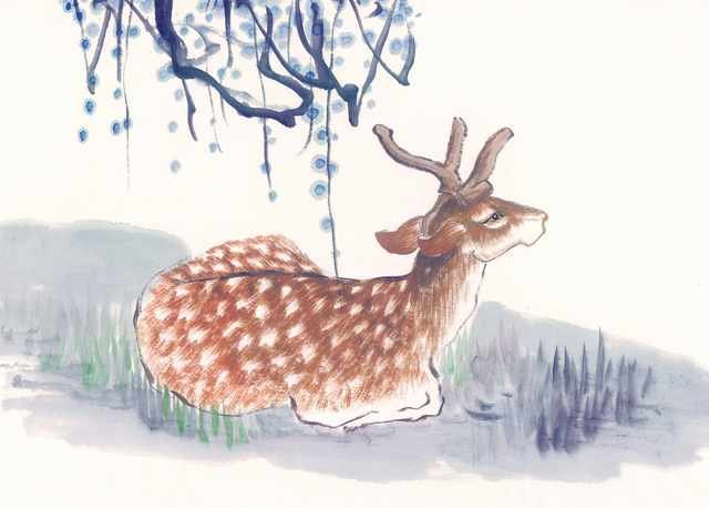 chinese master paintings animals c art a0166 A4 Photo Print