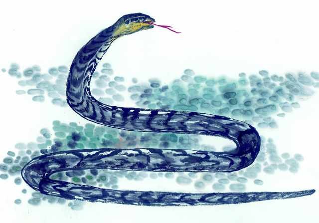 chinese master paintings animals c art a0183 A4 Photo Print