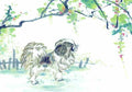 chinese master paintings animals c art a0207 A4 Photo Print