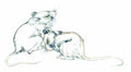 chinese master paintings animals c art a0214 A4 Photo Print