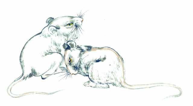 chinese master paintings animals c art a0214 A4 Photo Print