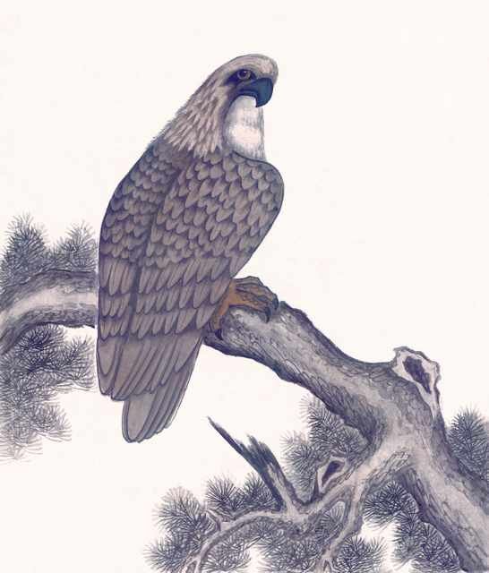 chinese master paintings animals c art a034 A4 Photo Print