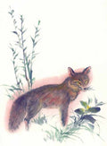chinese master paintings animals c art a038 A4 Photo Print
