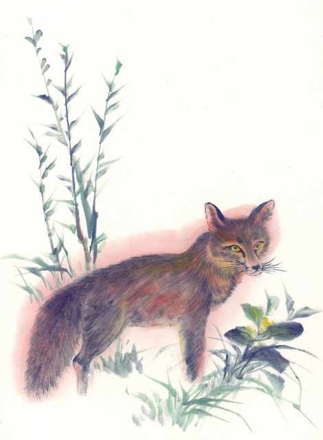 chinese master paintings animals c art a038 A4 Photo Print