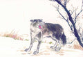 chinese master paintings animals c art a043 A4 Photo Print