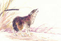 chinese master paintings animals c art a044 A4 Photo Print