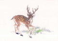 chinese master paintings animals c art a051 A4 Photo Print