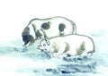 chinese master paintings animals c art a09 A4 Photo Print